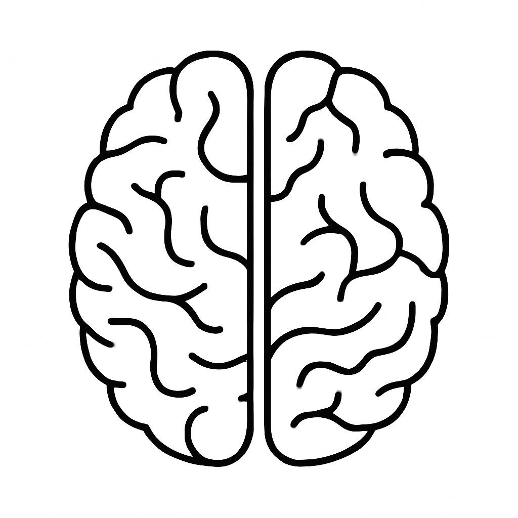 Brain illustration showing left and right hemispheres